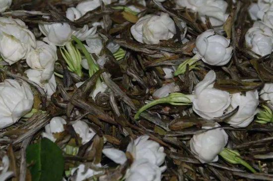 茉莉龍珠怎么做的，茉莉龍珠的制作工藝