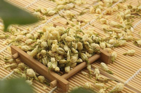 茉莉花茶與什么相克，茉莉花搭配禁忌