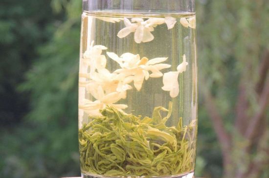 茉莉龍珠可以和什么一起泡茶，茉莉龍珠茶能加蜂蜜嗎？