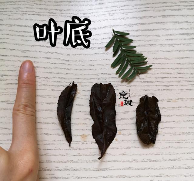 正山小種很細(xì)還很黑亮，正山小種越細(xì)越好嗎