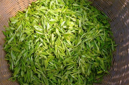 烏牛早和龍井的區(qū)別圖片，龍井43號和烏牛早茶的對比