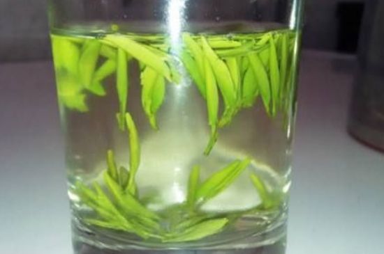 翠眉是什么茶，適合什么時候喝