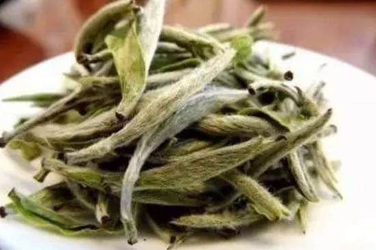 白茶三年為藥七年為寶的原理，為什么說(shuō)一年茶三年藥七年寶？