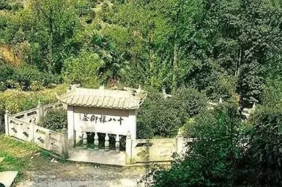 母樹大紅袍給誰喝了，為什么母樹大紅袍叫三棵六株？