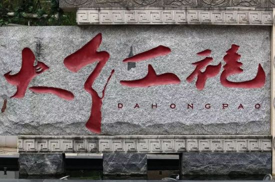 母樹大紅袍給誰喝了，為什么母樹大紅袍叫三棵六株？