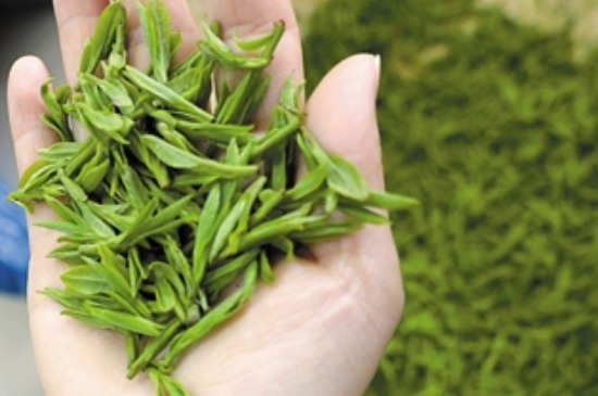潮汕炒茶屬于什么茶，潮汕炒茶是綠茶嗎？
