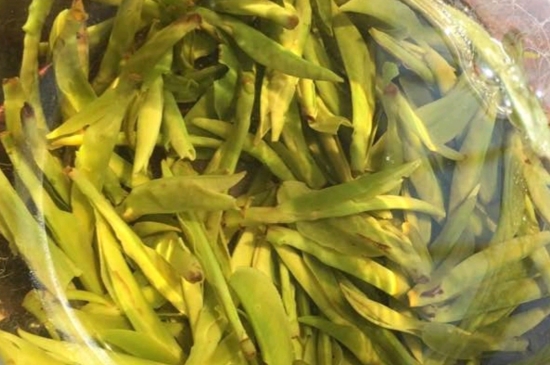 龍井是明前的好還是雨前的好，明前茶和雨前茶哪個(gè)好喝？