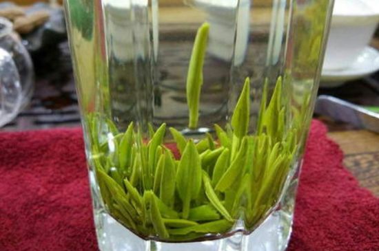 雀舌有一股青草味，雀舌為什么有青草味？