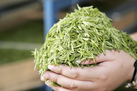 高山云霧茶屬于什么茶，高山云霧茶哪里的最好