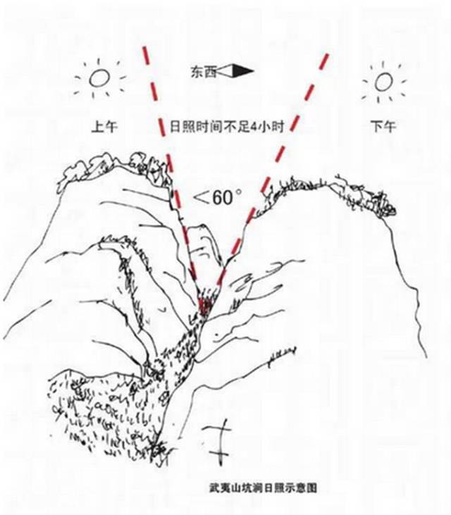 武夷山為什么盛產(chǎn)茶葉，武夷山茶為什么好喝？