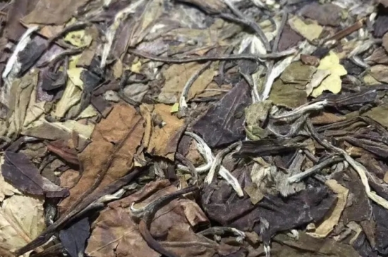 老白茶上火還是去火？夏季喝煮的老白茶會容易上火！