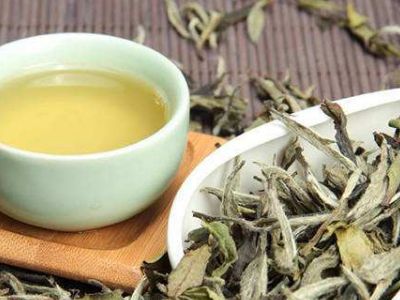 大紅袍好還是白茶好，福鼎白茶和大紅袍哪個貴？