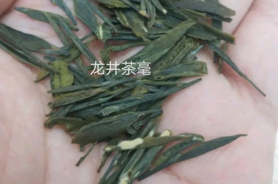 西湖龍井茶毫和發(fā)霉區(qū)別圖片，長霉的龍井茶葉會(huì)是什么樣？