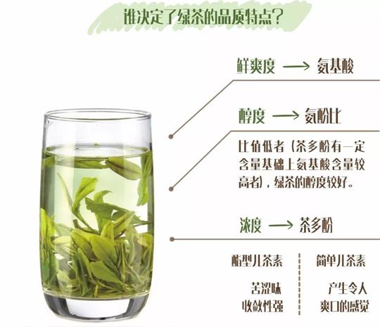 什么綠茶口味重口感濃郁，口味比較重的綠茶都有那些？