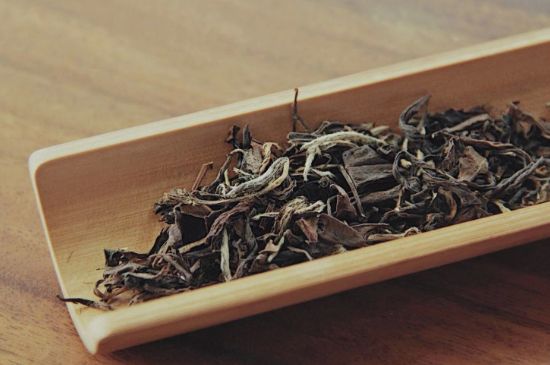 怎么撬老白茶茶餅不容易碎，福鼎白茶如何撬茶方法