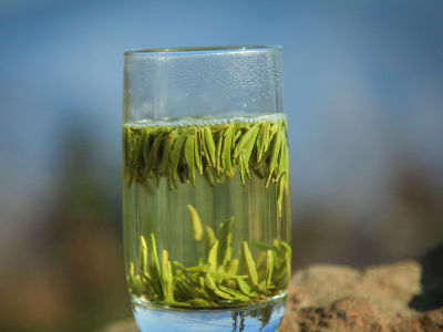 竹葉青茶怎么樣，檔次較高味道略苦價格比較貴