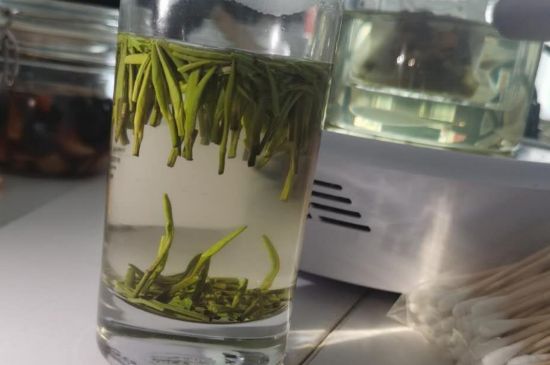 金壇雀舌算不算好茶，金壇雀舌屬于什么檔次茶葉？