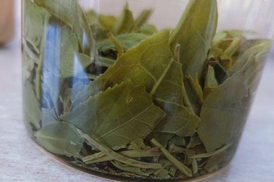 綠茶陳茶和新茶區(qū)別，綠茶怎樣區(qū)分新茶和陳茶