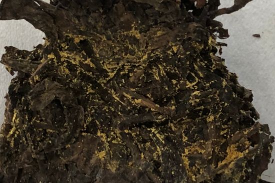 怎么知道涇渭茯茶是否變質(zhì)，茯磚茶金花和發(fā)霉的區(qū)別