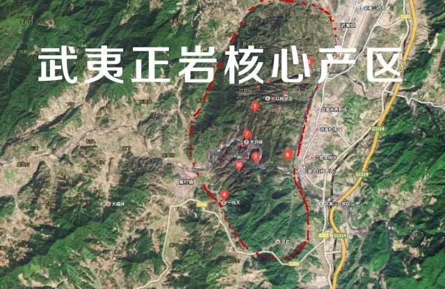 武夷山為什么盛產(chǎn)茶葉，武夷山茶為什么好喝？