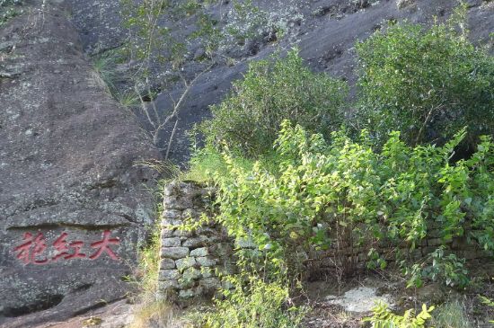 母樹大紅袍給誰喝了，為什么母樹大紅袍叫三棵六株？
