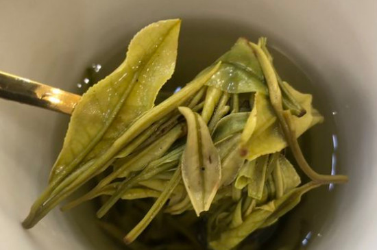 新舊白茶怎么區(qū)分，怎么分辨白茶是新還是舊