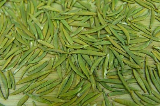 竹葉青和毛尖的區(qū)別，毛尖和竹葉青怎么分辨？