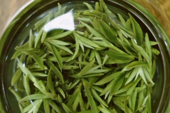 什么綠茶茶葉唇齒留香，哪個(gè)品種綠茶香氣好？