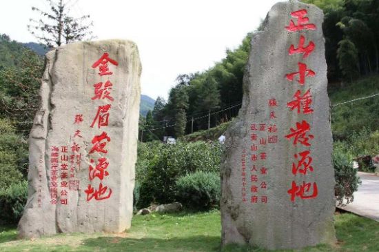 300塊錢的金駿眉能喝嗎，兩三百多金駿眉和一千多區(qū)別