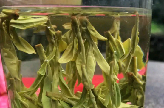 什么綠茶最香最好喝，綠茶口感與香氣排名