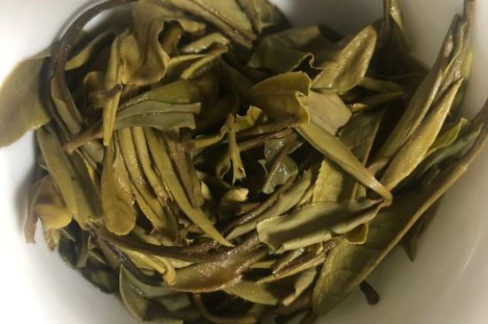 三年白茶賽砒霜，這是真的嗎？
