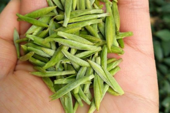 什么綠茶味道濃香，那個綠茶比較濃香？