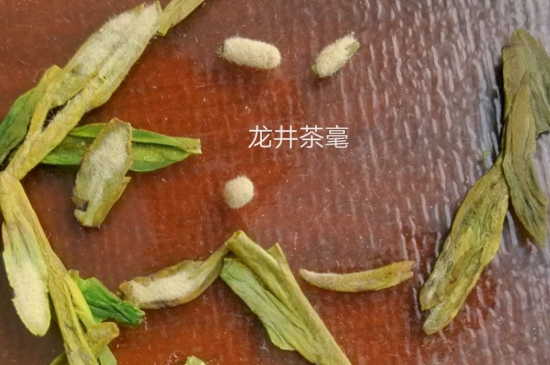 西湖龍井茶毫和發(fā)霉區(qū)別圖片，長霉的龍井茶葉會(huì)是什么樣？