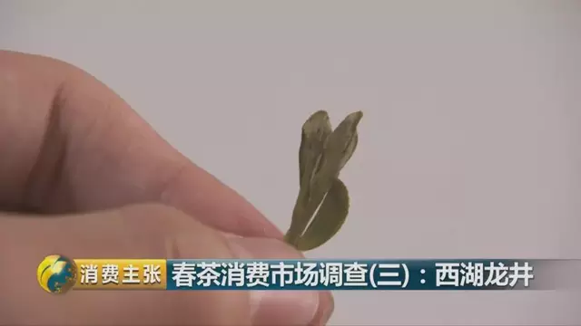 龍井群體種和43號(hào)的區(qū)別圖片，龍井43和群體種哪個(gè)好喝？