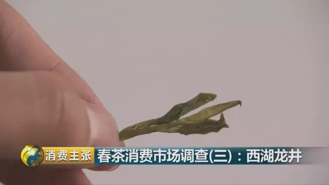 龍井群體種和43號(hào)的區(qū)別圖片，龍井43和群體種哪個(gè)好喝？