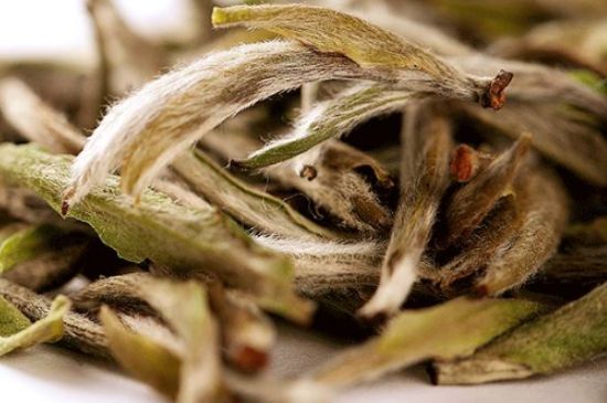 荒野銀針有什么特點(diǎn)，荒野銀針的味道口感咋樣？