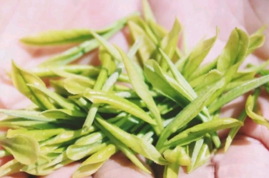 龍井是明前的好還是雨前的好，明前茶和雨前茶哪個(gè)好喝？