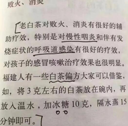 老白茶上火還是去火？夏季喝煮的老白茶會容易上火！