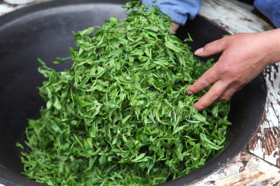 潮汕炒茶屬于什么茶，潮汕炒茶是綠茶嗎？