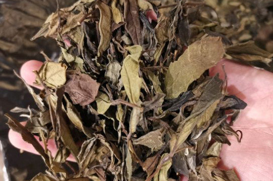 新舊白茶怎么區(qū)分，怎么分辨白茶是新還是舊