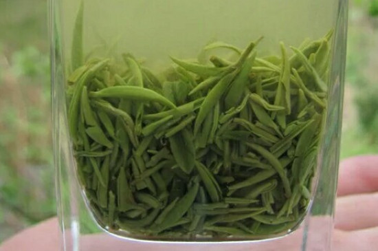 什么綠茶茶葉唇齒留香，哪個(gè)品種綠茶香氣好？