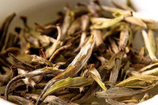 荒野銀針市場價多少，真正的荒野白毫銀針多少錢？
