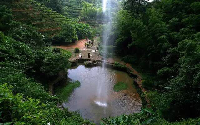 武夷山為什么盛產(chǎn)茶葉，武夷山茶為什么好喝？