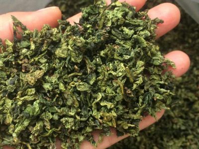 鐵觀音毛茶茶?？梢耘菟葐?，鐵觀音帶梗是不是好茶？