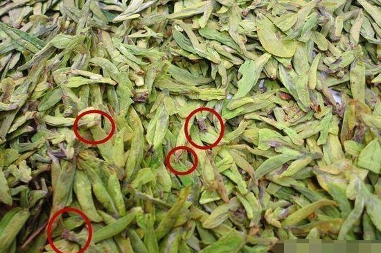 烏牛早和龍井的區(qū)別圖片，龍井43號和烏牛早茶的對比