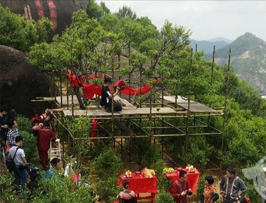 宋種一號價值為什么高，鳳凰單樅宋種1號價格與產(chǎn)量多少？