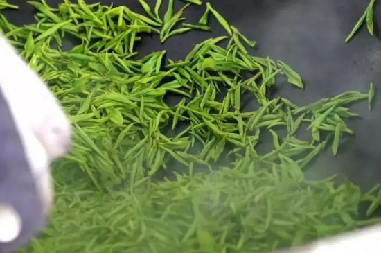 碧螺春為什么泡水渾濁，碧螺春茶葉泡水感覺很臟是混濁的
