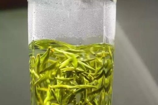 西湖龍井茶毫和發(fā)霉區(qū)別圖片，長霉的龍井茶葉會(huì)是什么樣？