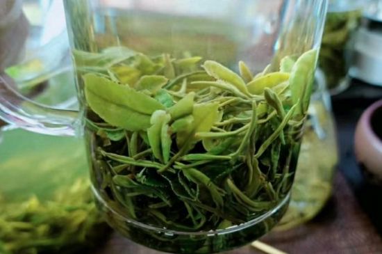 什么綠茶味道濃香，那個綠茶比較濃香？