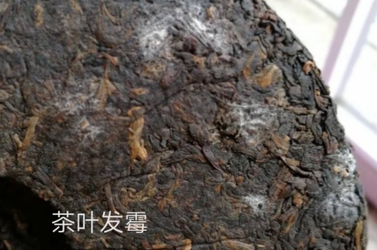 西湖龍井茶毫和發(fā)霉區(qū)別圖片，長霉的龍井茶葉會(huì)是什么樣？